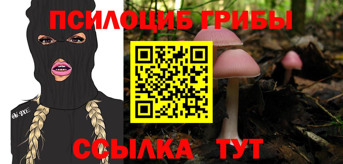 Галлюциногенные грибы мухоморы  Псилоцибиновые грибы ЛСД  Кандалакша  Вход с VPN 