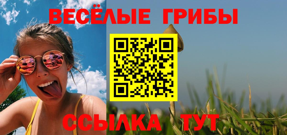 Галлюциногенные грибы прущие грибы Кандалакша